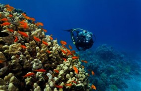 ep buceo