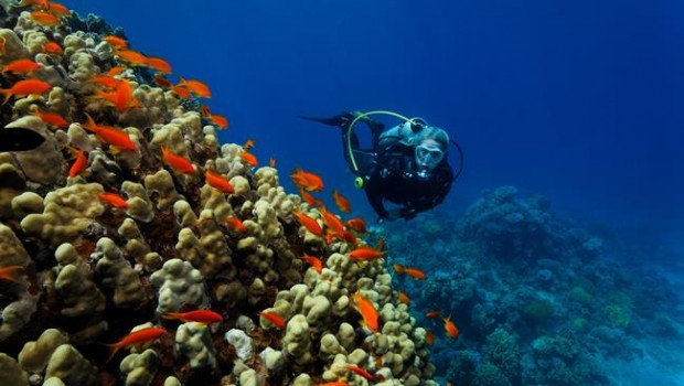 ep buceo