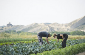 ep dos personas trabajan en un cultivo en una imagen de archivo