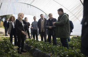 ep el ministro de agricultura pesca y alimentacion luis planas 2d visita este jueves una explotacion