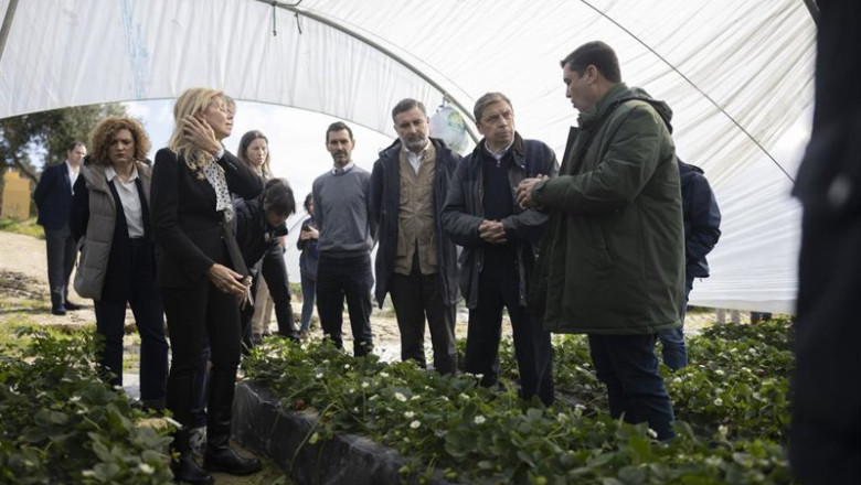 El ministro de Agricultura, Pesca y Alimentación, Luis Planas (2d), visita este jueves una explotación agrícola en Moguer (Huelva) tras las lluvias | Clara Carrasco - Europa Press ep el ministro de agricultura pesca y alimentacion luis planas 2d visita este jueves una explotacion