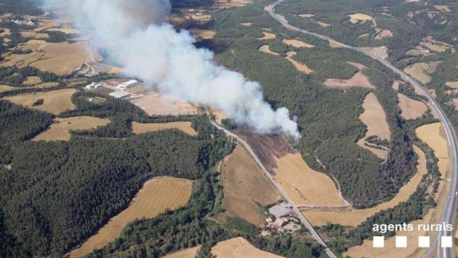 ep incendiovegetacion agricolaavinyo barcelona