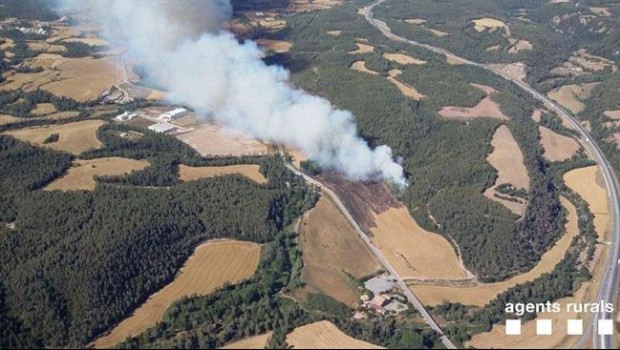 ep incendiovegetacion agricolaavinyo barcelona
