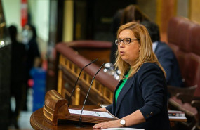 ep la diputada del pp elena castillo en la tribuna del congreso