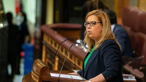 ep la diputada del pp elena castillo en la tribuna del congreso