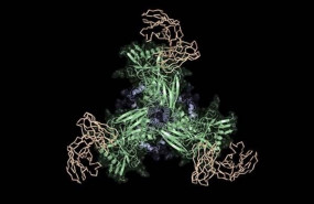 ep os cientificos de scripps research formaron parte de un equipo que diseno y probo una nueva