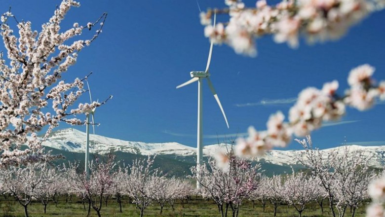 ep parque eolico de iberdrola 20260304115605 ep parque eolico de iberdrola 20260304115605
