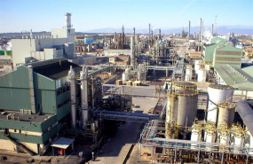 ep plantaercrostarragona ep plantaercrostarragona