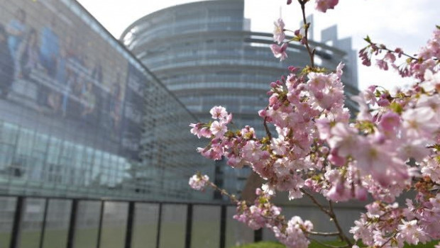 ep sede del parlamento europeo en estrasburgo 20200220162414