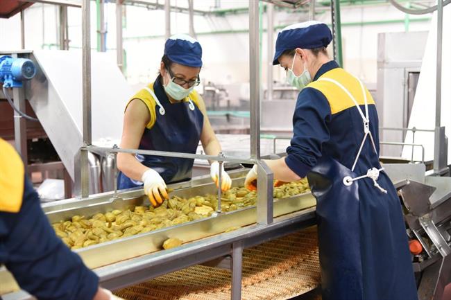 ep trabajadoras
