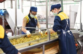 ep trabajadoras