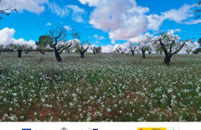 imagen ndp esilok 20260427113921 