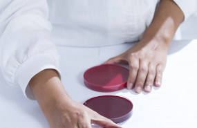 1594280515 hudisa laborato br