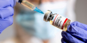 coronavirus premiers resultats encourageants pour le candidat vaccin de valneva coronavirus premiers resultats encourageants pour le candidat vaccin de valneva