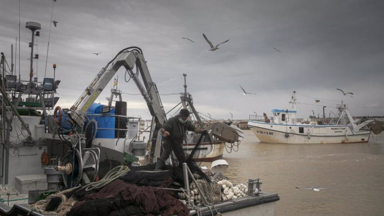 ep archivo - llegada de un barco pesquero a la lonja de la cofradia de pescadores de sanlucar de ep archivo - llegada de un barco pesquero a la lonja de la cofradia de pescadores de sanlucar de