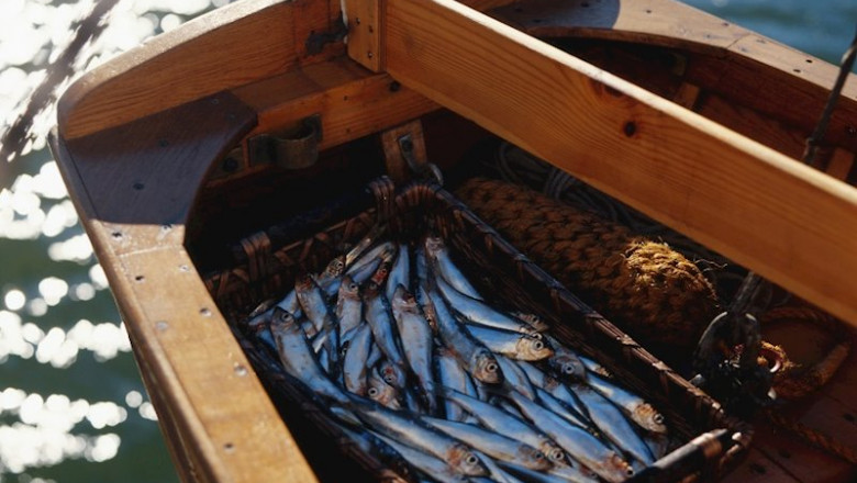 ep boquerones