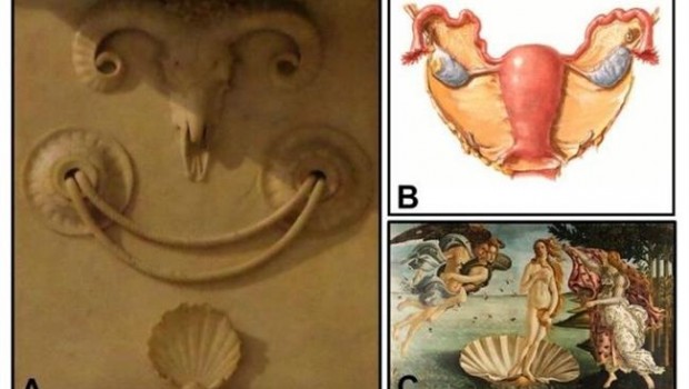 ep decoracion inspiradala anatomia femenina