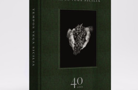 ep ejemplar de la edicion de prestigio de tempos vega sicilia 40 anos el misterio de vega sicilia