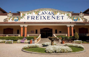 ep grupo freixenet