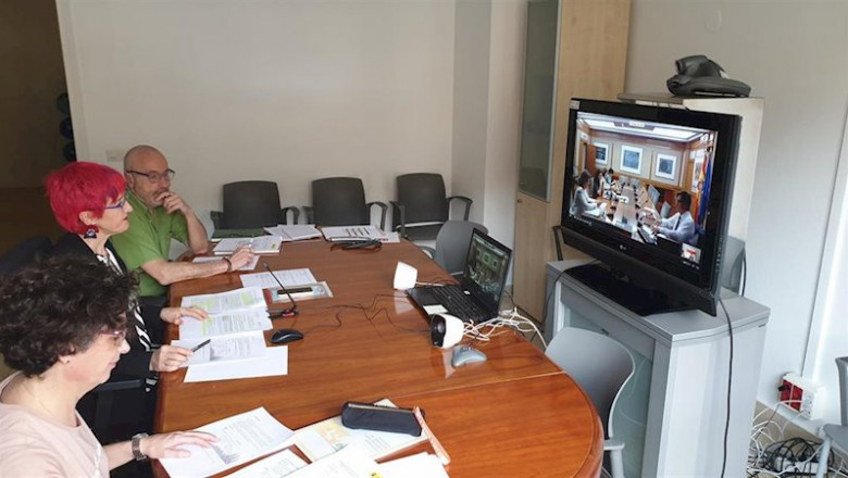 ep la consejera de salud santos indurain en la videoconferencia con el ministro salvador illa ep la consejera de salud santos indurain en la videoconferencia con el ministro salvador illa