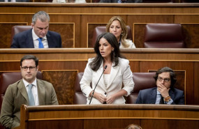 ep la portavoz de vox en el congreso pepa millan interviene durante la sesion plenaria en el