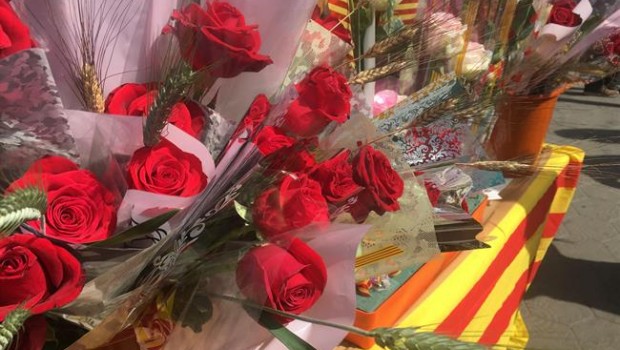 ep las callespueblos catalanesllenanrosassant jordi