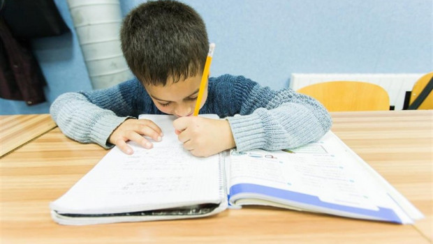 ep mas de dos millones y medio de alumnos reciben ayudas para libros de texto en espana segun anele