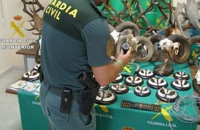ep trofeoscaza furtiva intervenidosla operacion aspicientis