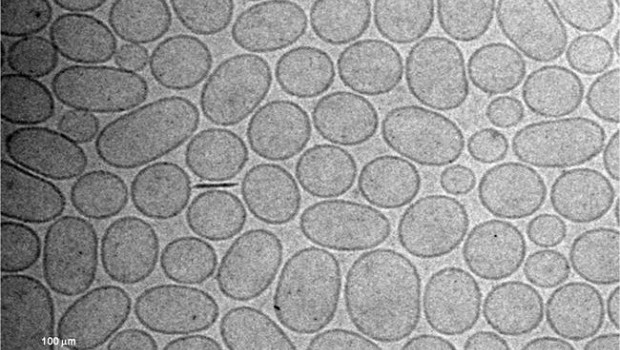 ep un nanomedicamentomejoratratamientopie diabetico