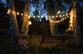 imagen1 20250425143822 imagen1 20250425143822