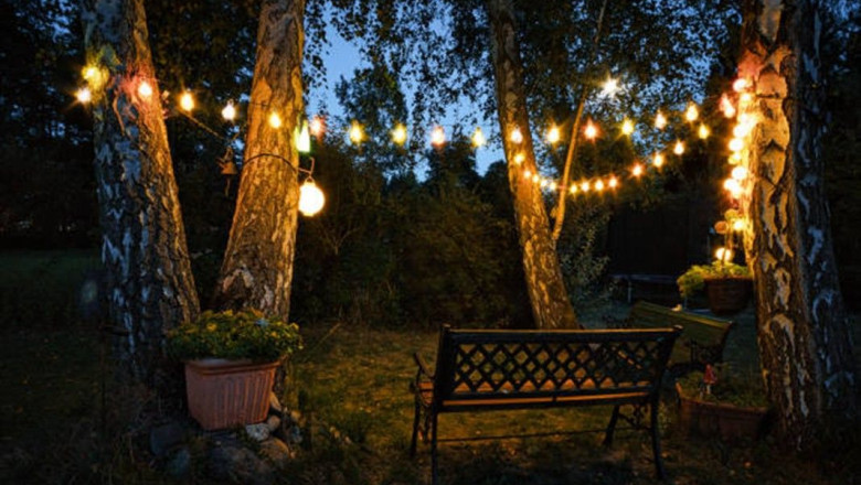 imagen1 20250425143822