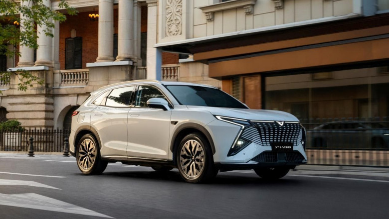 picture1 20260130105240