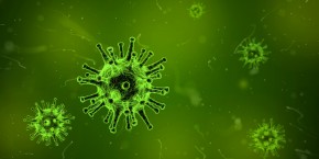 virus-biotech-sante-recherche-medicale-pharma virus-biotech-sante-recherche-medicale-pharma
