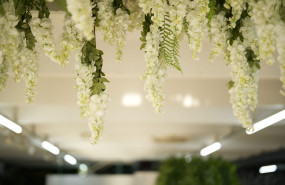 123   2023 05 06t095512105 