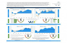 1587457465 tic monitor vass abril 2020 page 0001