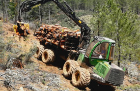 1610998955 photo 2019 11 21 21 24 55