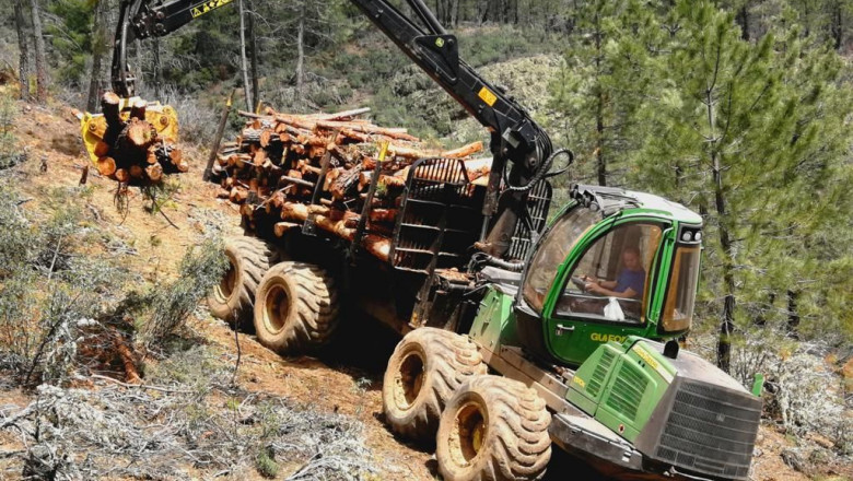 1610998955 photo 2019 11 21 21 24 55