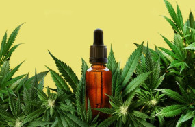 cannabis light spain