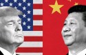 cbtradewarchinausa7 short1 cbtradewarchinausa7 short1