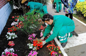 ep alumnos de formacion profesional haciendo practicas de jardineria en santander