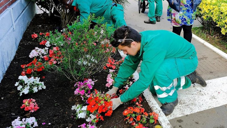 ep alumnos de formacion profesional haciendo practicas de jardineria en santander