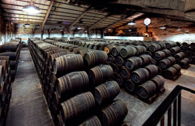 ep archivo economia la bodega delgado zuleta amplia capital por valor de casi 2 millones para ep archivo economia la bodega delgado zuleta amplia capital por valor de casi 2 millones para