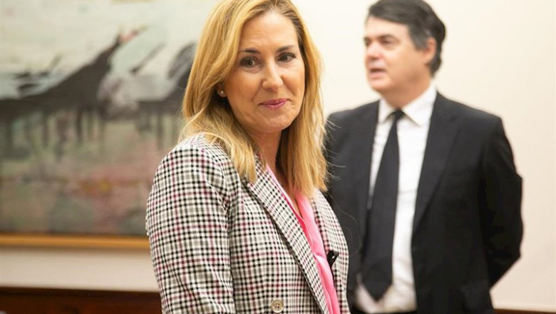 La diputada y vicesecretaria de Organización del PP, Ana Beltrán. | Congreso de los Diputados - Archivo ep la diputada y vicesecretaria de organizacion del pp ana beltran