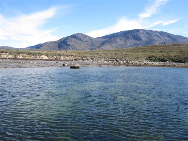 Pradera submarina en el Ártico | CSIC ep pradera submarinael artico