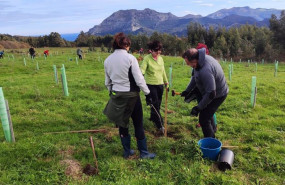 ep voluntarios en una plantacion de arboles