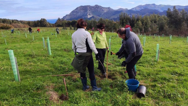 ep voluntarios en una plantacion de arboles