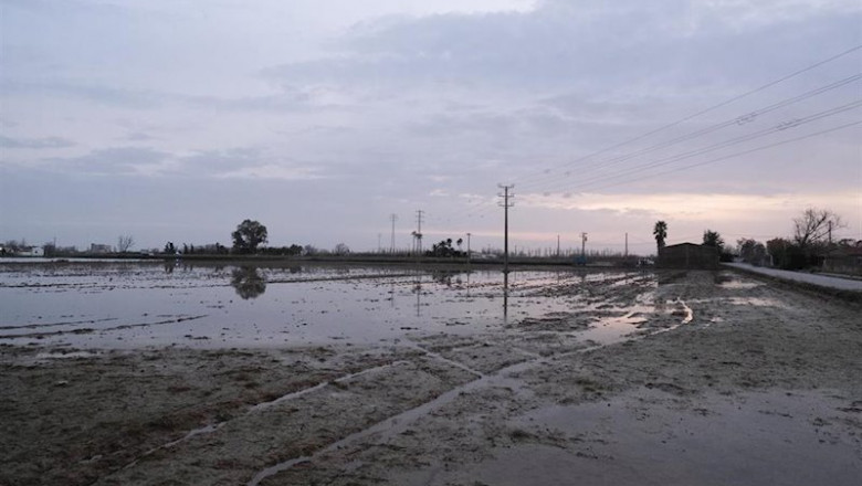 Zona propera a Riumar (Tarragona), al delta de l'Ebre, inundada por la borrasca Gloria. | FABIÁN A. PONS - Europa Press ep zona propera a riumar tarragona al delta de lebre inundada por la borrasca gloria