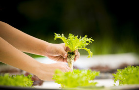 food security food security