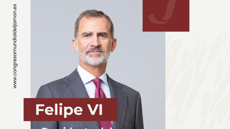 foto sm felipe vi 