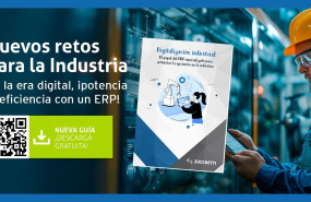 img np guia erp industrial envio1 1 img np guia erp industrial envio1 1